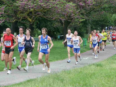 Corrilambro 2010