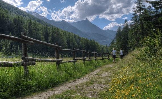 Trail